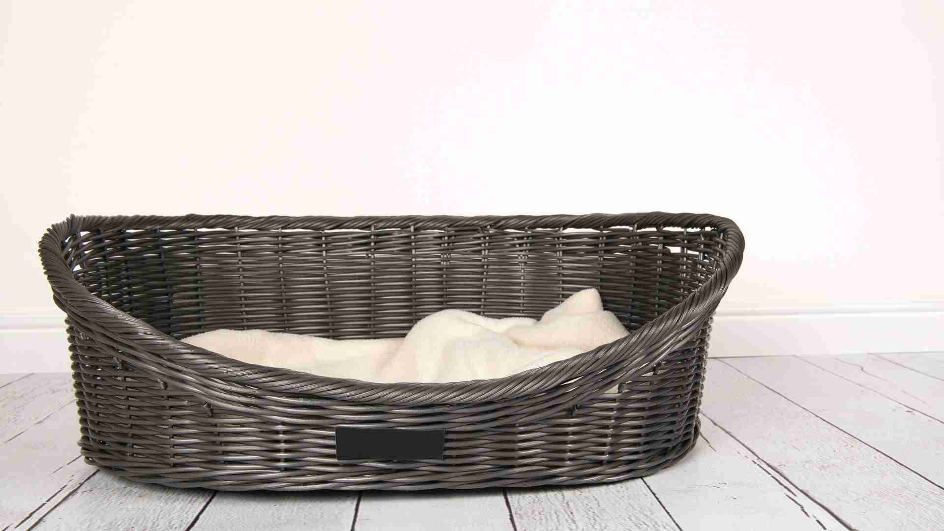 Structuring a lease-to-equity deal for a high-growth pet-hotel chain