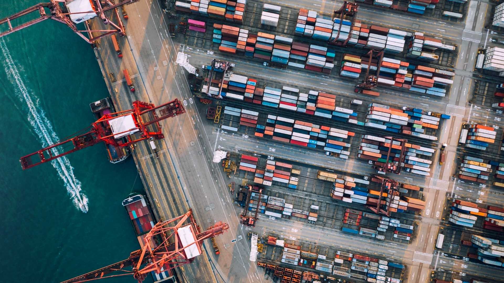 Resetting the economics of a food importer and distributor for sustainable growth